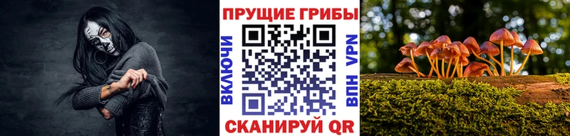 Галлюциногенные грибы GOLDEN TEACHER  Купить закладки  Александров 
